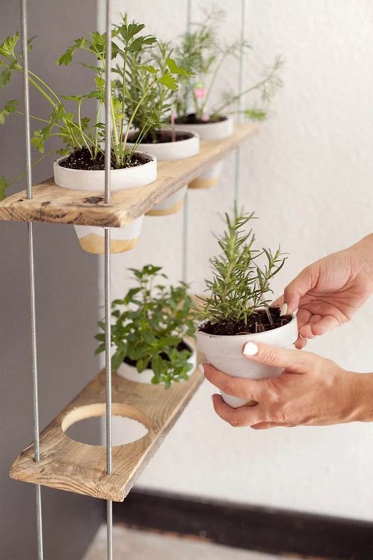 Hanging-Herb-Garden