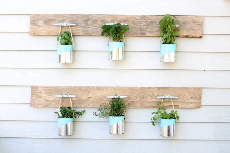 Paint-Can-Herb-Garden Paint-Can-Herb-Garden