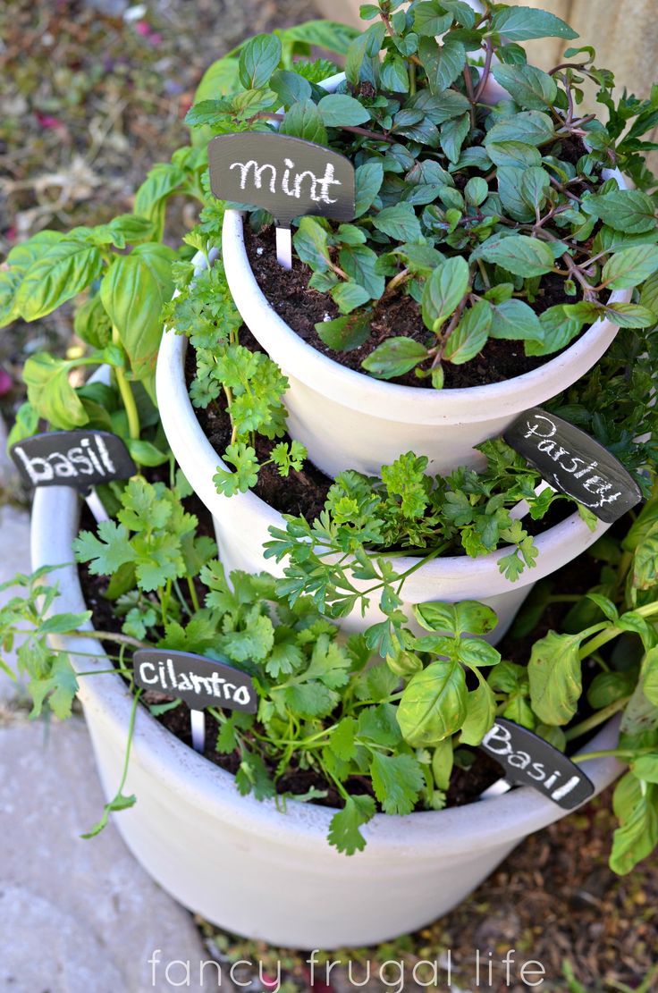 Stacked-Herb-Garden