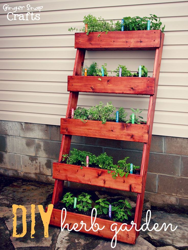 Standing-Cedar-Wood-Herb-Garden Standing-Cedar-Wood-Herb-Garden