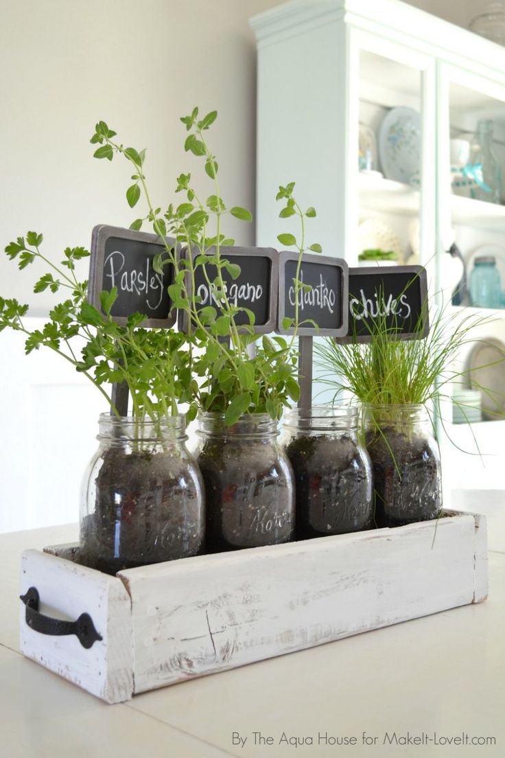 Table-Top-Herb-Garden Table-Top-Herb-Garden
