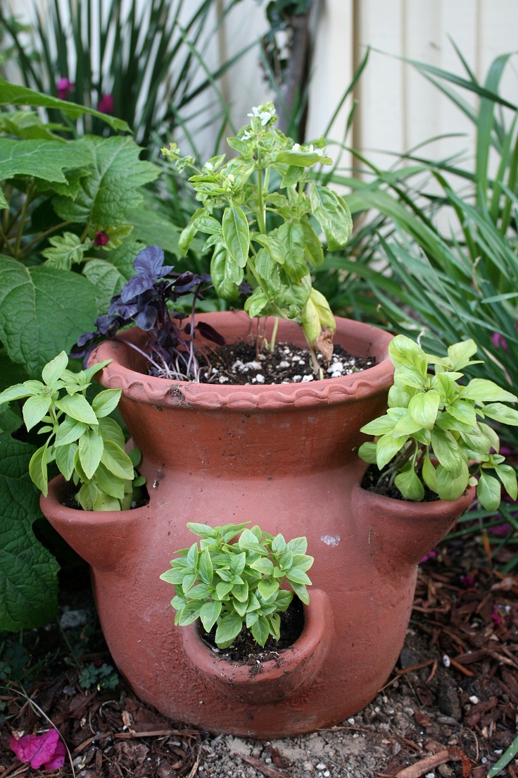 Terracota-Herb-Garden