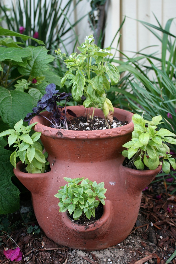 Terracota-Herb-Garden Terracota-Herb-Garden