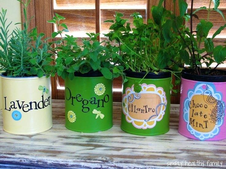 Tin-Can-Herb-Garden