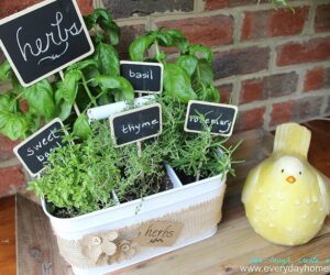 Top 10 DIY Creative Herb Garden Ideas