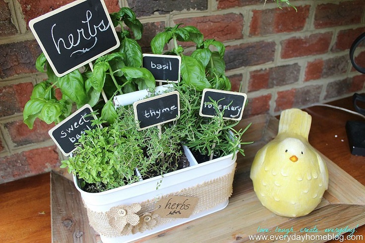 Utensil-Caddy-Herb-Garden Utensil-Caddy-Herb-Garden