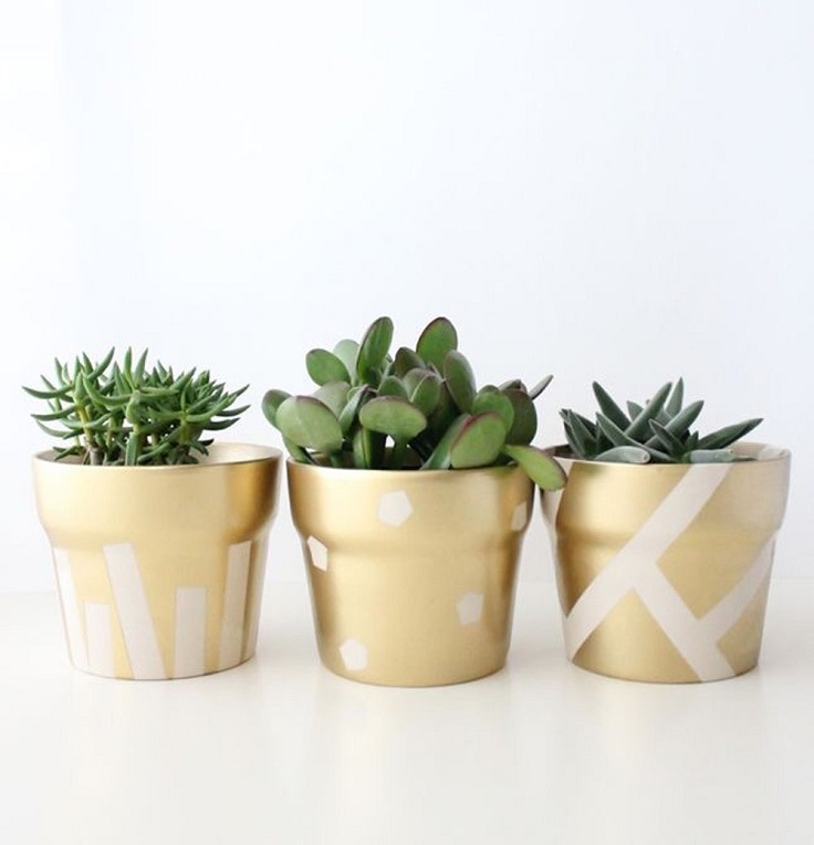 Gilded-Succulent-Pots