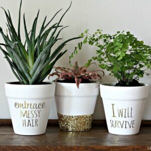 Gold-Foil-Lettering-on-Pots-300x300 Gold-Foil-Lettering-on-Pots-300x300