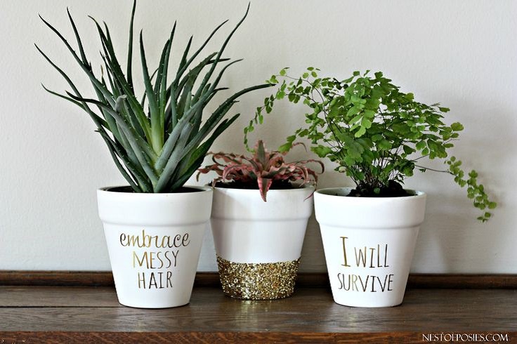 Gold-Foil-Lettering-on-Pots