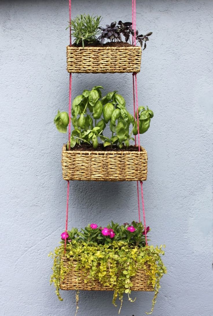 Hanging-Basket-Garden