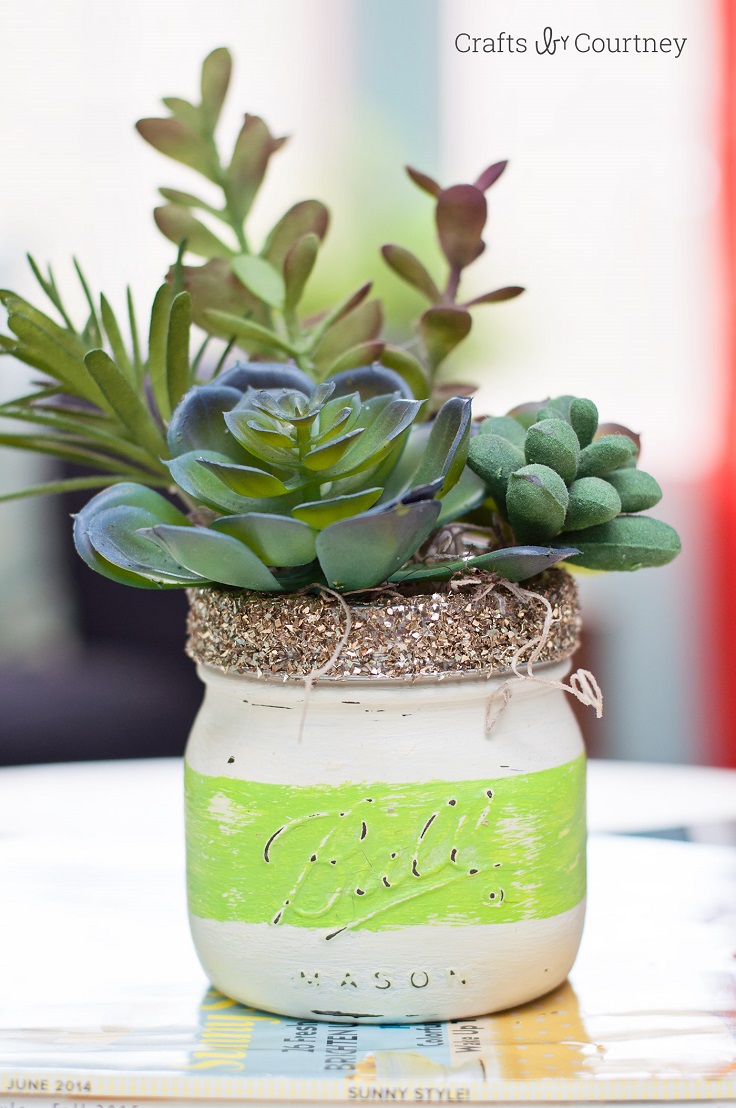 Succulents-Jar