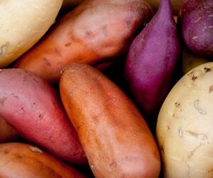 Top 10 Tips on Growing Your Own Sweet Potatoes