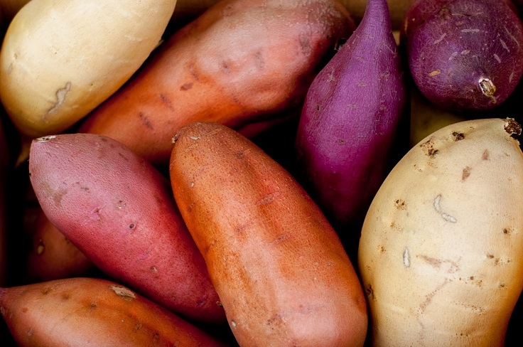 sweeto-potato-varieties
