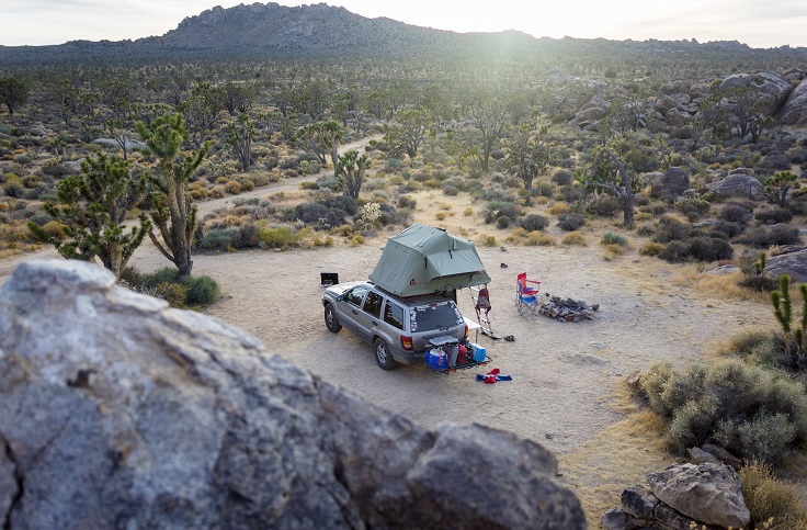 Mojave-National-Preserve