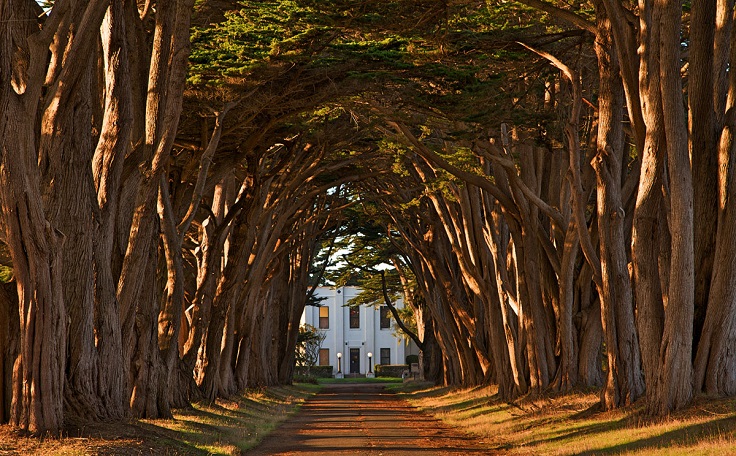 Point-Reyes