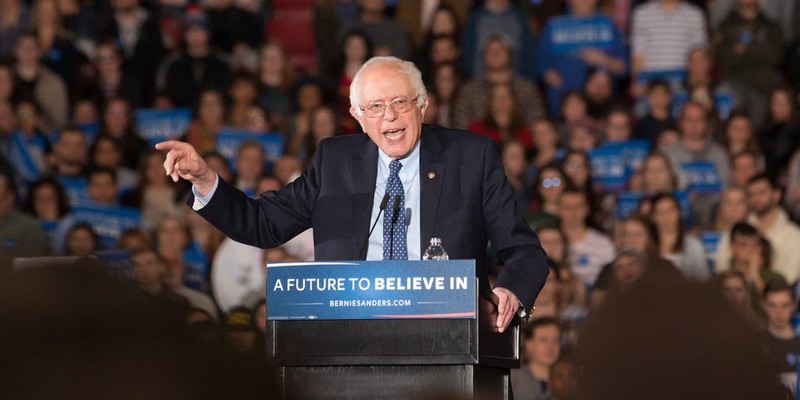 bernie6 bernie6