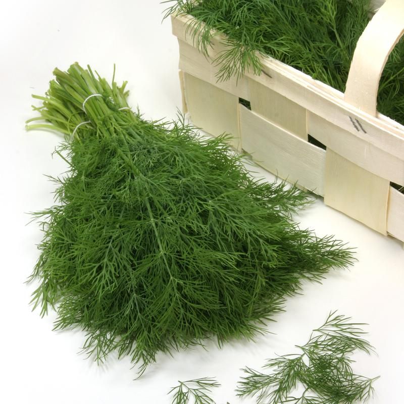 dill dill