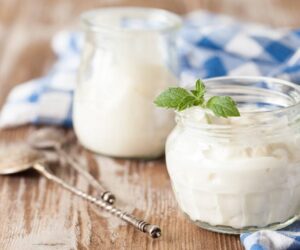 Top 10 Greek Yogurt Substitute Options – What Works Best?
