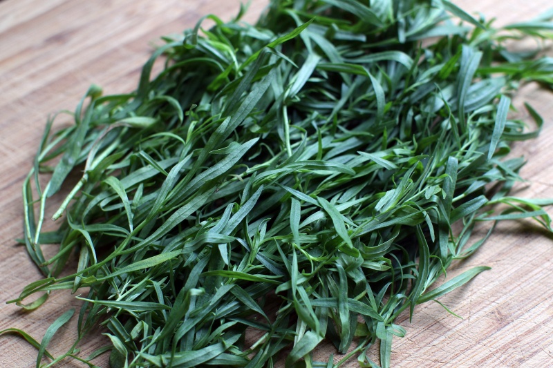 tarragon- tarragon-