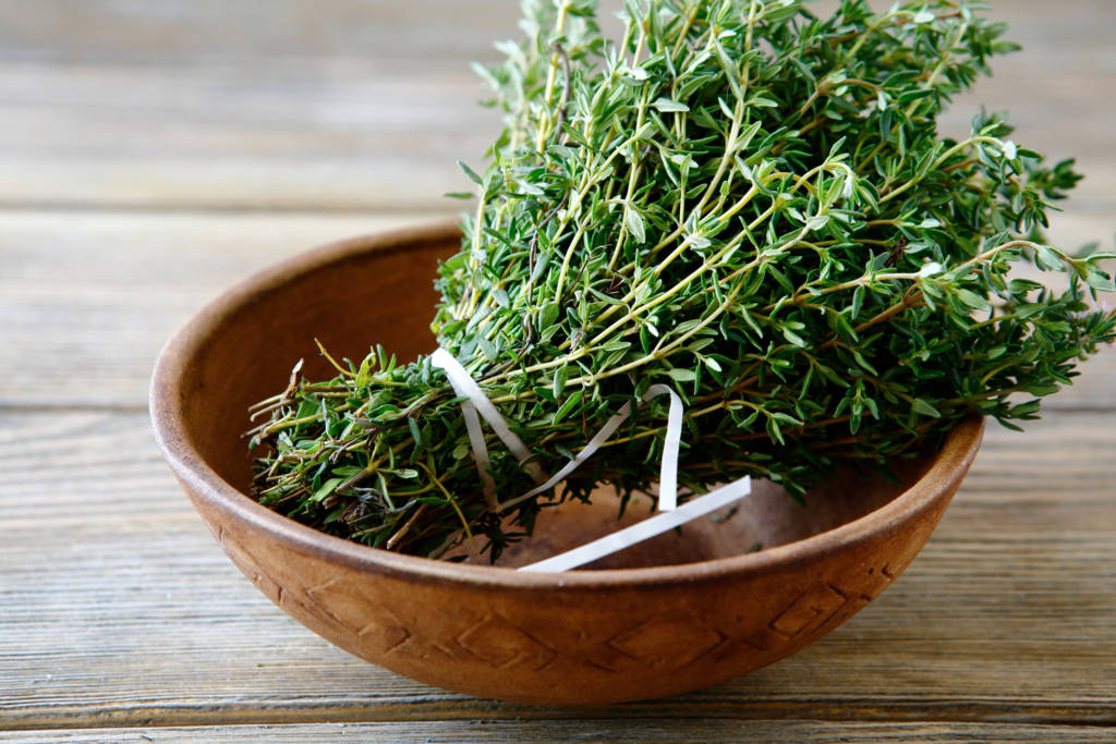 thyme thyme