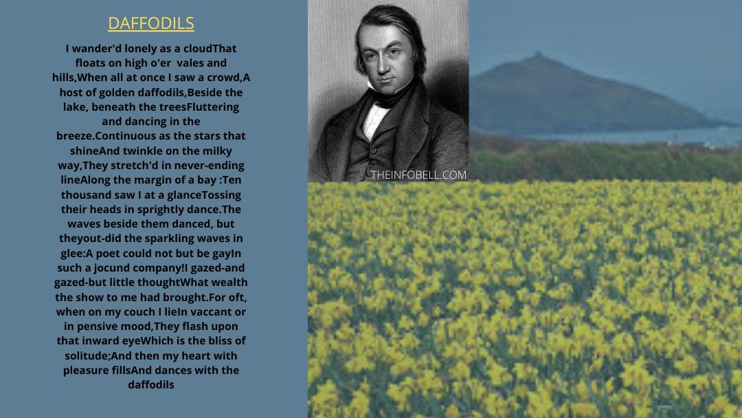 The-daffodils-by-william-wordsworth-class-7-questions-and-answers-lesson-5-assam