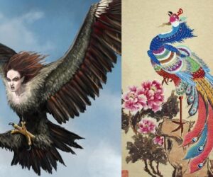 Top 10 Mythical Birds You Can find in Folklore and Legends