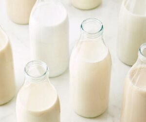 Top 10 Whole Milk Substitute Ingredients
