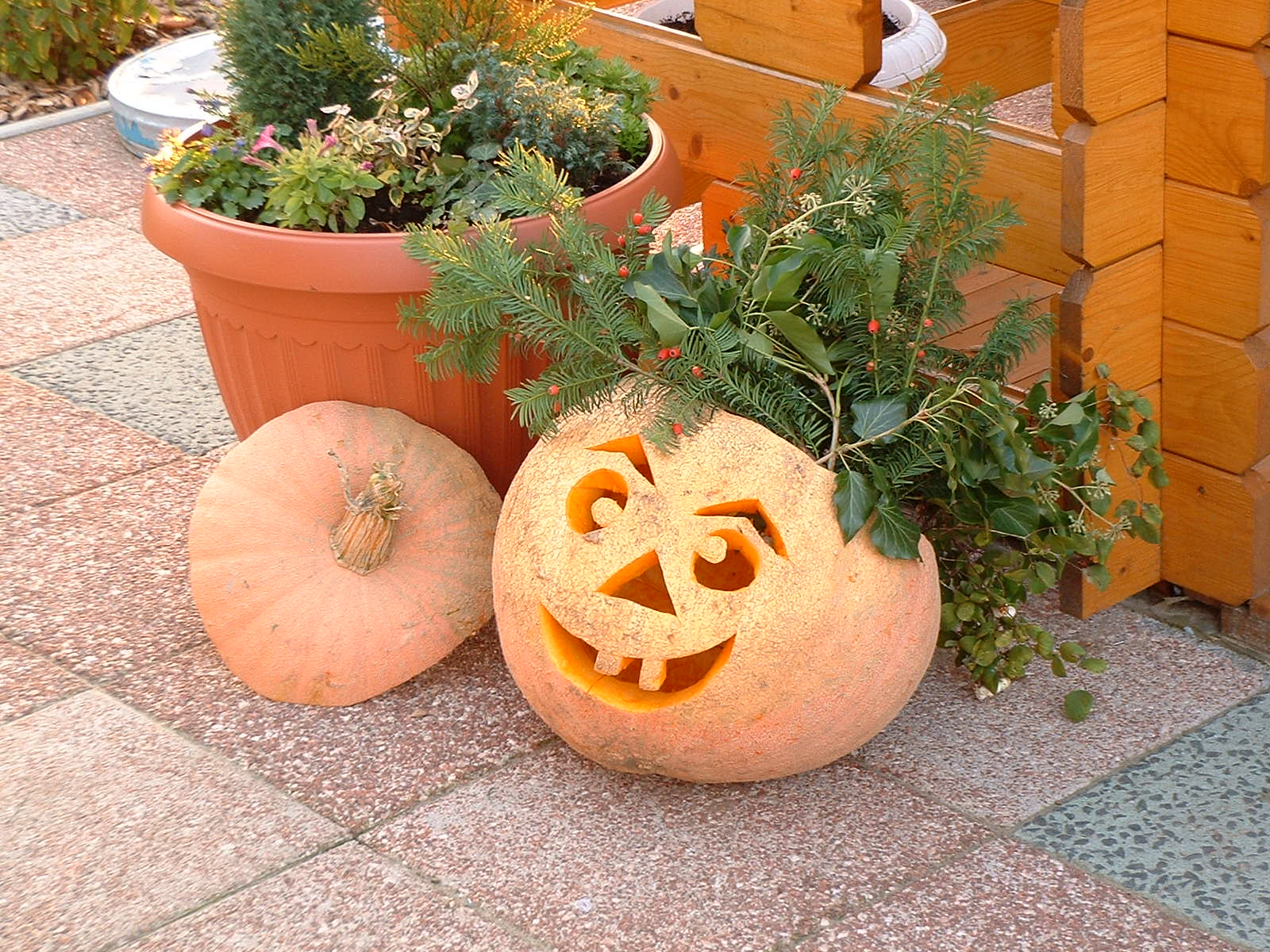 Pumpkin_Halloween