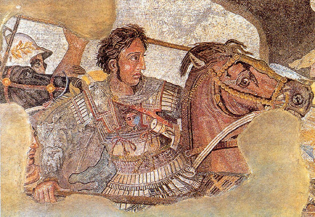 Bucephalus Bucephalus