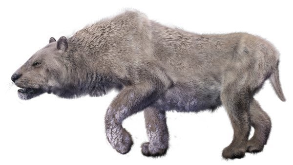cave-lion cave-lion