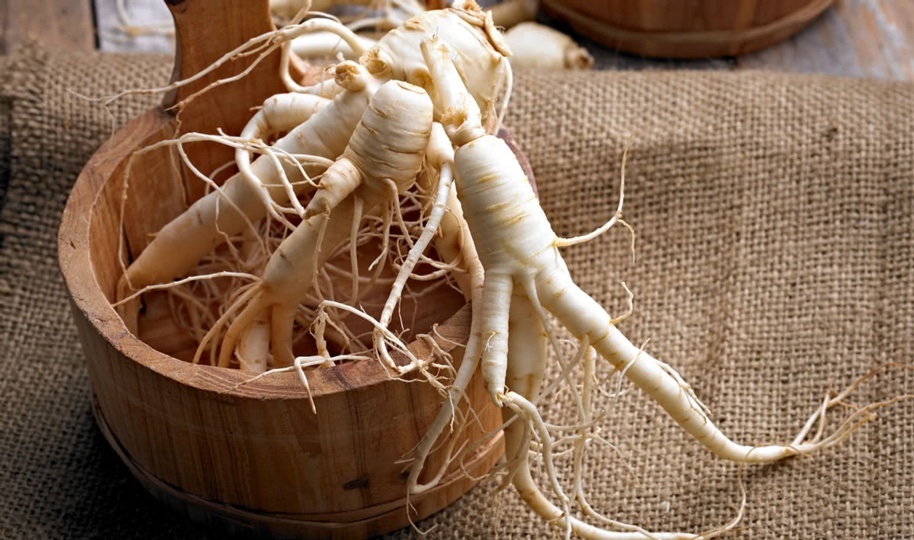 ginseng