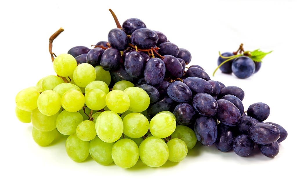 grape-1