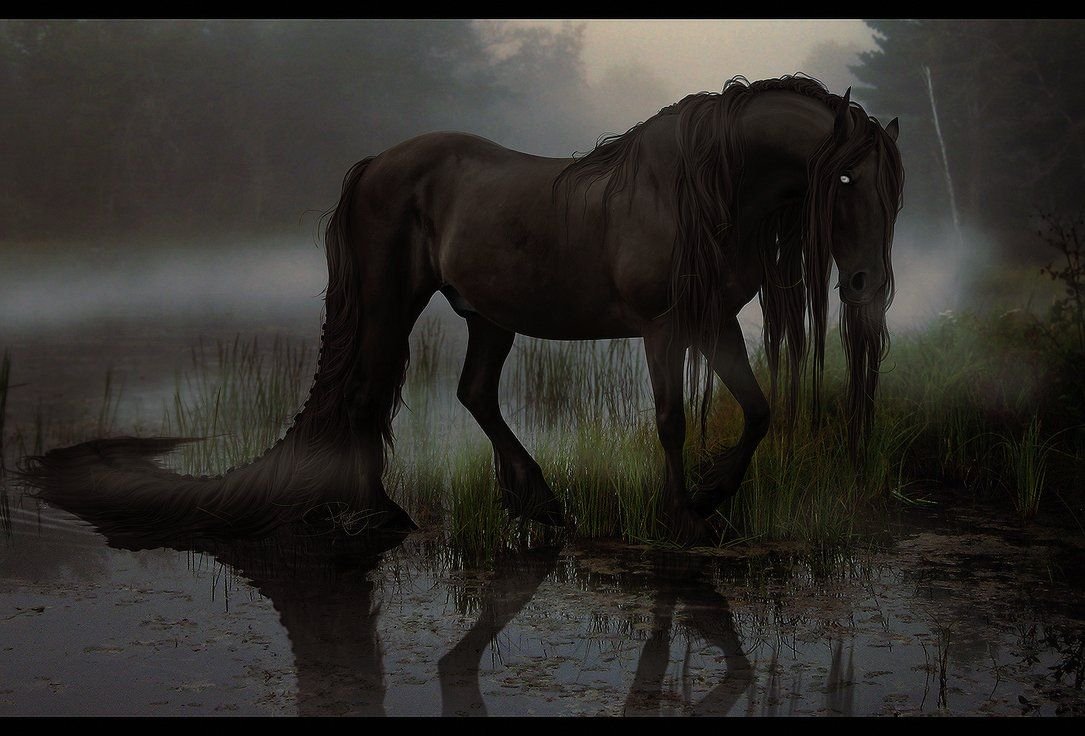 kelpie kelpie
