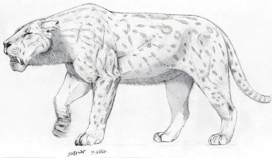 machairodus_kabir_by_jagroar_d2lj0kx-fullview machairodus_kabir_by_jagroar_d2lj0kx-fullview