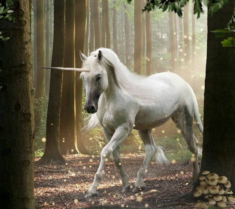 unicorn