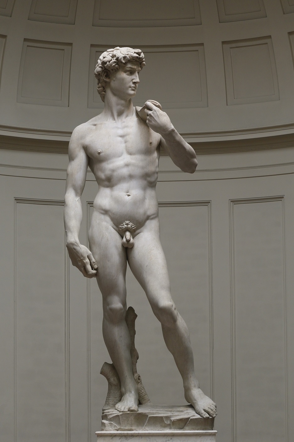 david1 david1