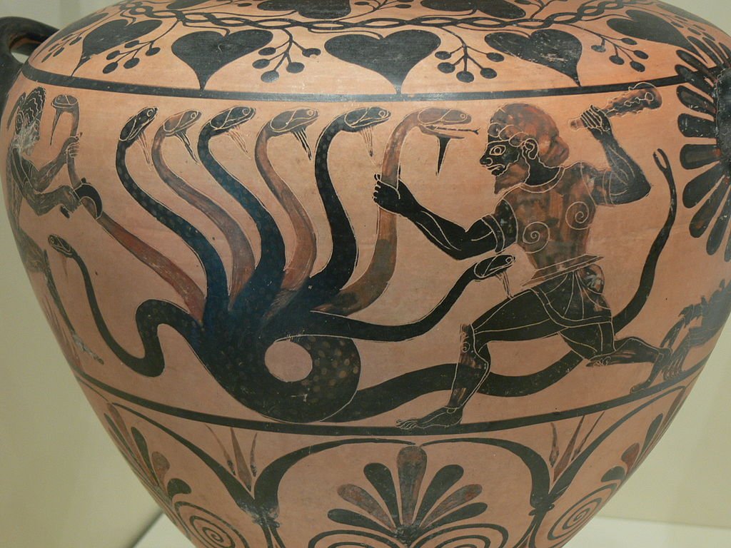 hydra hydra