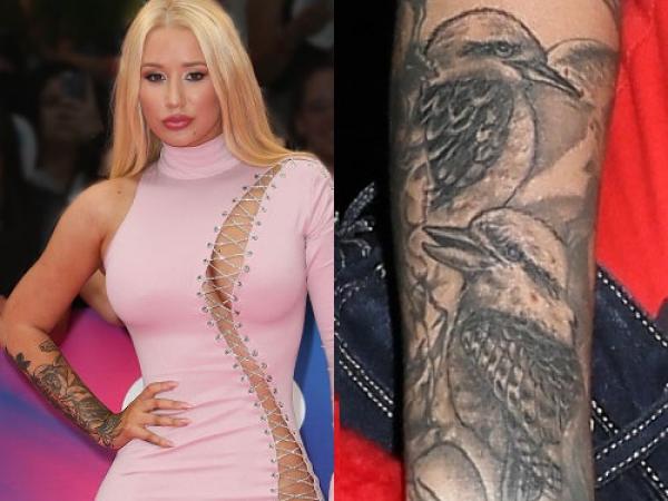 iggy10 iggy10