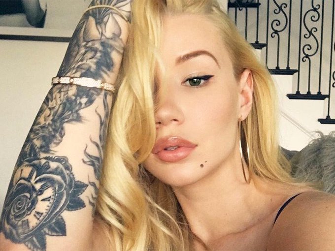 iggy7 iggy7