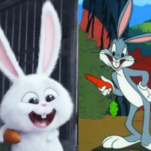 rabbits1-300x300 rabbits1-300x300