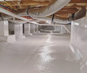 Top 4 Things You Need To Know About Crawl Space Encapsulation