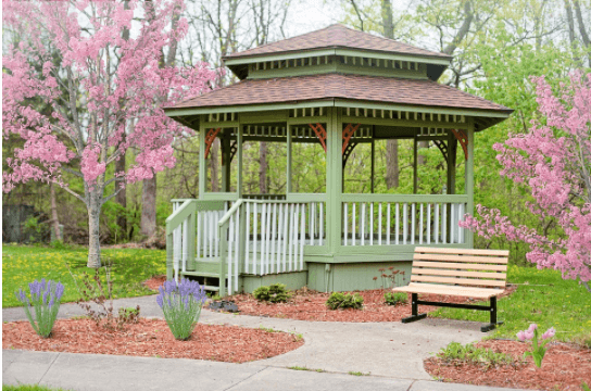 spring-flowering