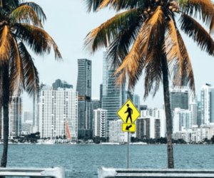 Top 5 Useful Steps To Help You Know What To Do If You Want To Live In Miami