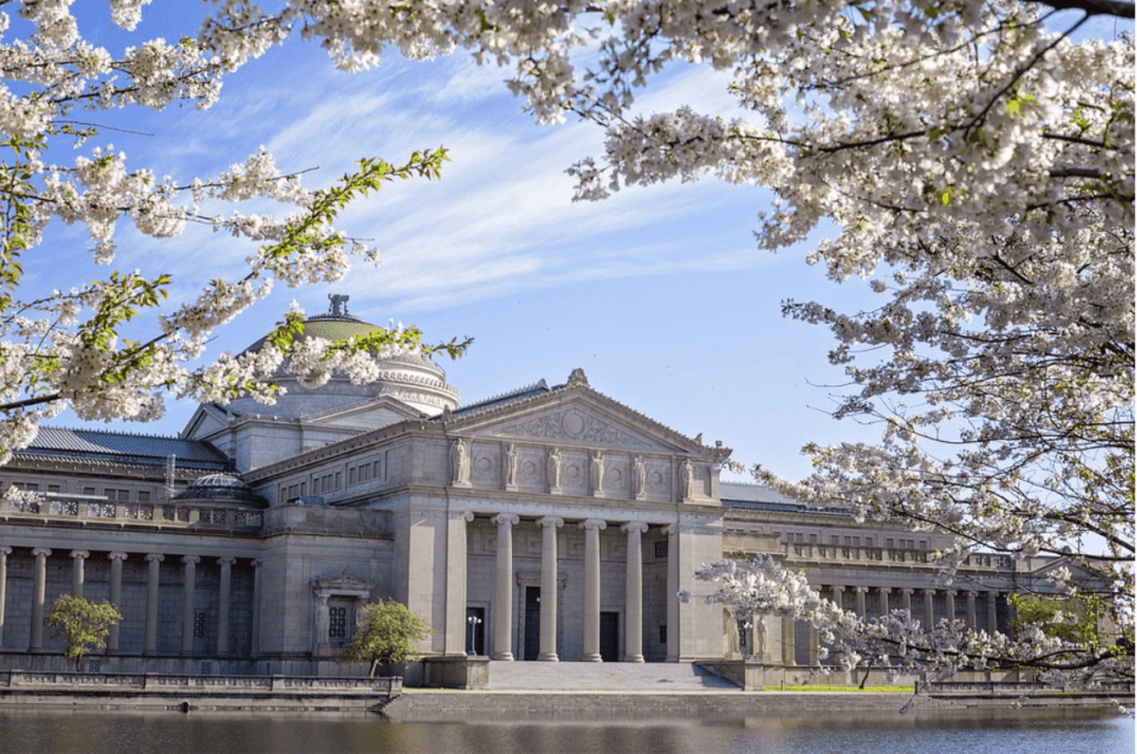 museum-of-science-and-industry-1024x679