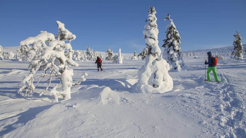 snow-in-lapland-1024x576