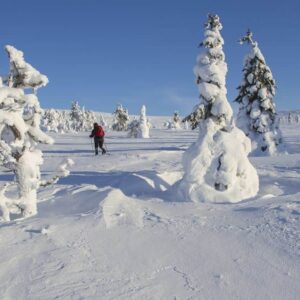 snow-in-lapland-300x300 snow-in-lapland-300x300
