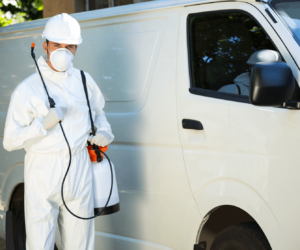 Top 10 Pest Control Tips To Keep Your Home Safe
