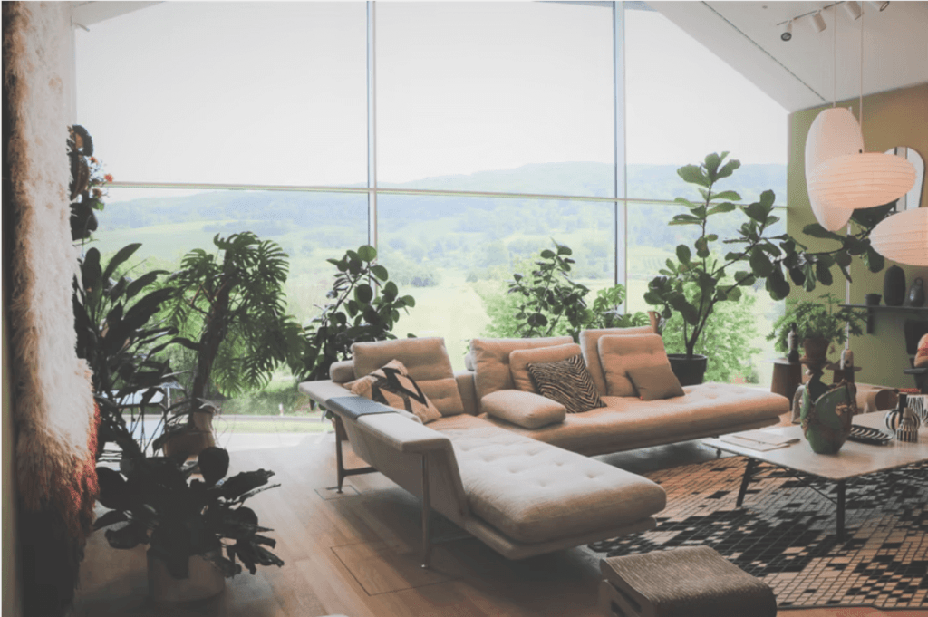 living-room-1024x681