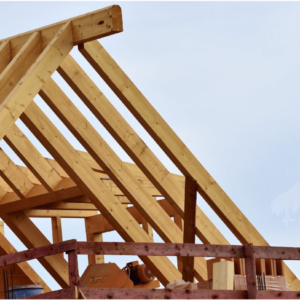 Home-Improvement-300x300