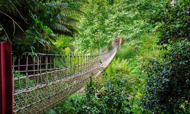 lost-gardens-of-heligan